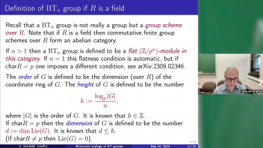 Shimurian analogs of Barsotti-Tate groups.