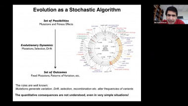 Evolution as a Stochastic Algorithm