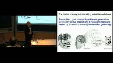Predictive information and the emergence of cognitive hierarchies