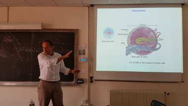 Transgenerational Epigenetics: of plants and men