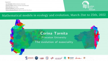 The evolution of eusociality