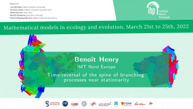 Time-reversal of the spine of branching processes near stationarity