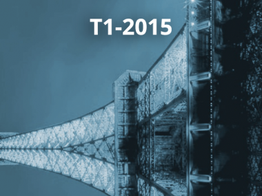 2015 - T1 - Disordered systems, random spatial processes and some applications