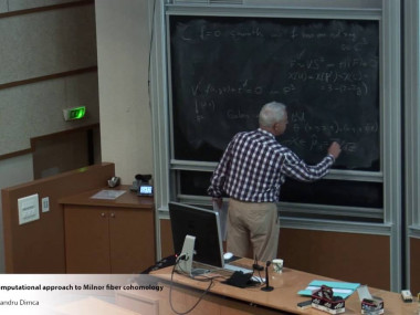 Topology of complex algebraic varieties / Topologie des variétés algébriques complexes