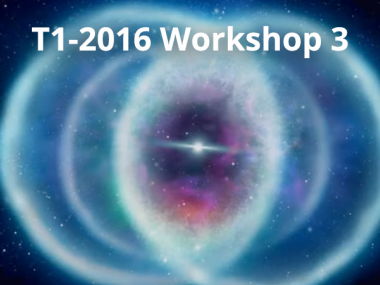 2016 - T1 - WS3 - Central workshop
