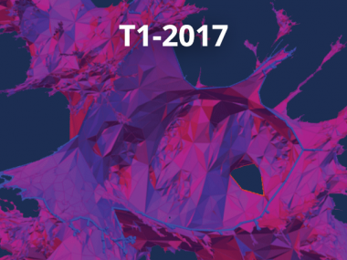 2017 - T1 - Combinatorics and interactions