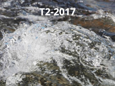2017 - T2 - Stochastic dynamics out of equilibrium