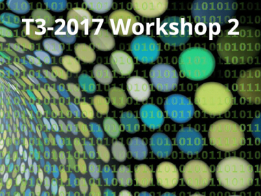 2017 - T3 -  WS2 - Probabilistic techniques and quantum information theory