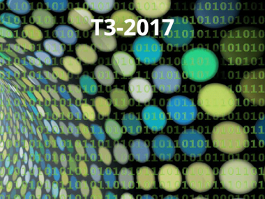 2017 - T3 - Analysis in quantum information theory