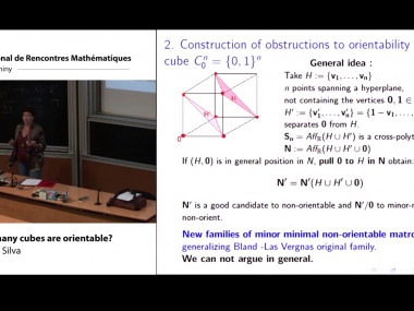 Combinatorial geometries: matroids, oriented matroids and applications / Géométries combinatoires : matroïdes, matroïdes orientés et applications