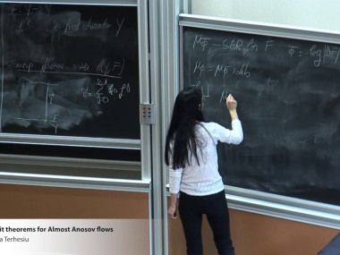 Probabilistic limit theorems for dynamical systems / Théorèmes limites probabilistes pour les systèmes dynamiques
