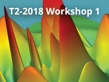 2018 - T2 - WS1 - Observability and estimation in quantum dynamics