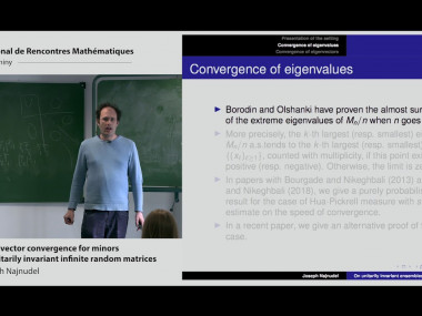 Matrices et graphes aléatoires / Random Matrices and Random Graphs