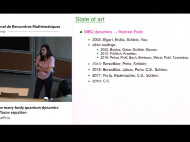 The Analysis of Complex Quantum Systems: Large Coulomb Systems and Related Matters / Analyse des systèmes complexes: grands systèmes coulombiens et systèmes apparentés