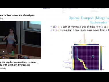Optimization for Machine Learning / Optimisation pour l'apprentissage automatique