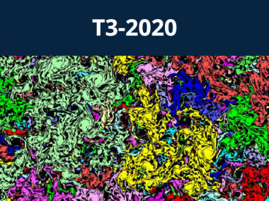 2020 - T3 - Systems out of equilibrium: interplay between statistical, quantum and disordered dynamics