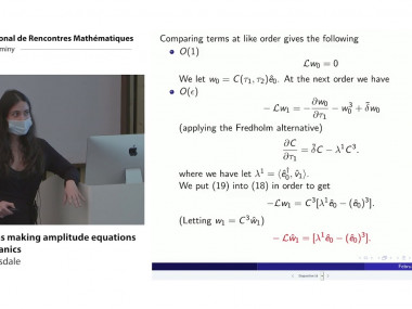Mathematical Aspects of Physics with Non-Self-Adjoint Operators: 10 Years After / Les aspects mathématiques de la physique avec les opérateurs non-auto-adjoints: 10 ans après