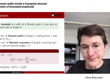 Lattice Paths, Combinatorics and Interactions / Marches aléatoires, combinatoire et interactions