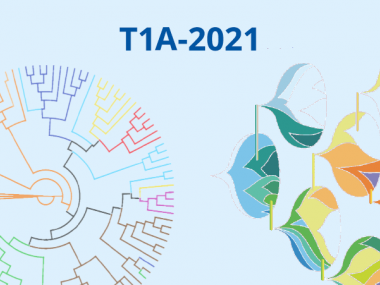 2021 - T1A - Quantitative evolution, phylogeny and ecology : from models to data and back