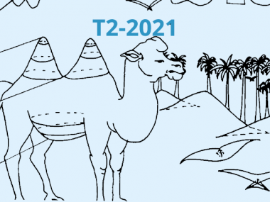 2021 - T2 - Symplectic topology, contact topology and interactions