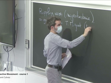 Mathematical Modeling of Organization in Living Matter / Modèles mathématiques et organisation de la matière vivante