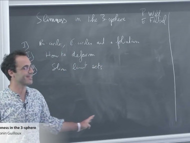 Complex Hyperbolic Geometry and Related Topics / Autour de la géométrie hyperbolique complexe