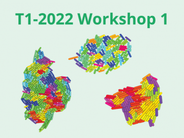 2022 - T1 - WS1 - Tissue growth and movement
