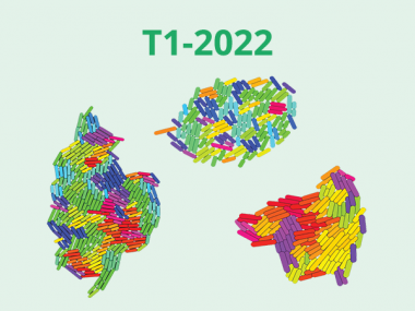 2022 - T1 - Mathematical modeling of organization in living matter