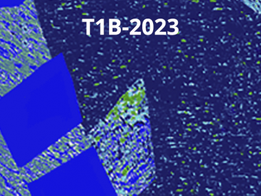 2023 - T1B - Random processes in the brain: from experimental data to math and back