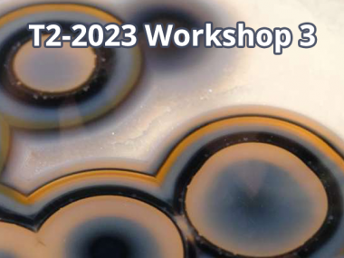 2023 - T2 - WS3 - Dg-manifolds in geometry and physics