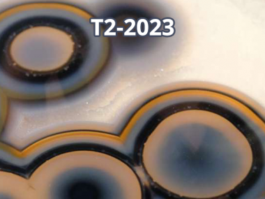 2023 - T2 - Higher structures in geometry and mathematical physics