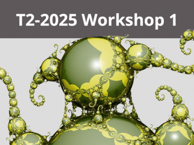 2025 - T2 - WS1 - Higher rank geometric structures, Higgs bundles and physics