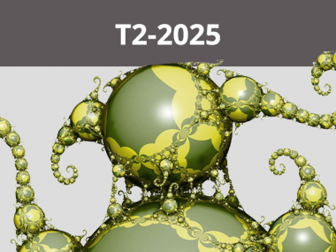 2025 - T2 - Higher rank geometric structures
