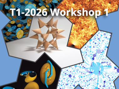 2026 - T1 - WS1 - Rigorous Illustrations - Their creation and evaluation for mathematical research