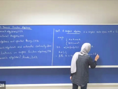 Introduction to Banach function algebras