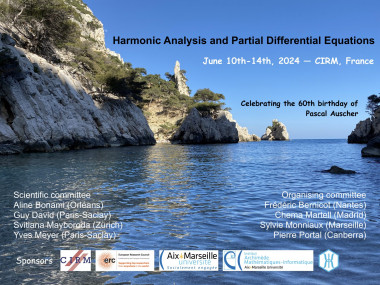 Harmonic analysis and partial differential equations / Analyse harmonique et équations aux dérivées partielles