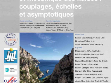 SMF RC. Kinetic theory and fluid mechanics: couplings, scalings and asymptotics. / ER SMF. Théorie cinétique et mécanique des fluides : couplages, échelles et asymptotiques.