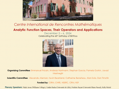 Operators on analytic function spaces / Opérateurs sur des espaces de fonctions analytiques