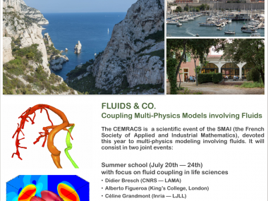 CEMRACS: Coupling multi-physics models involving fluids / CEMRACS : Couplage de modèles multi-physiques impliquant les fluides