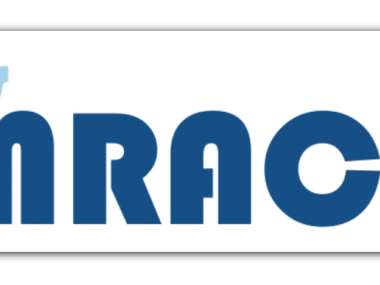 CEMRACS: Numerical challenges in parallel scientific computing / CEMRACS : Défis numériques en calcul scientifique parallèle