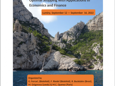 Advances in Stochastic Control and Optimal Stopping with Applications in Economics and Finance / Avancées en contrôle stochastique et arrêt optimal avec applications à l'économie et à la finance