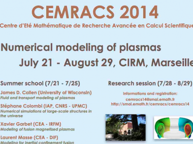 CEMRACS : Numerical modeling of plasmas / CEMRACS : Modèles numériques des plasmas