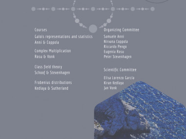 Jean Morlet Chair - Spring School in Arithmetic Statistics / Chaire Jean Morlet - École de statistiques arithmétiques