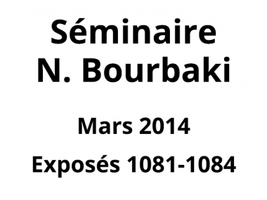 Bourbaki - Mars 2014