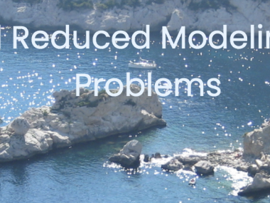 CEMRACS 2021: Data Assimilation and Model Reduction in High Dimensional Problems / CEMRACS 2021: Assimilation de données et réduction de modèle pour des problêmes en grande dimension