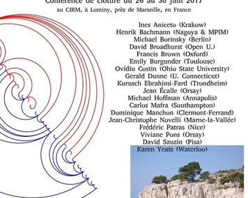Algebraic combinatorics, resurgence, moulds and applications / Combinatoire algébrique, résurgence, moules et applications