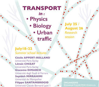 CEMRACS: Transport in Physics, Biology and Urban Traffic / CEMRACS: Transport en physique, biologie et traffic urbain
