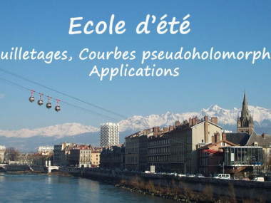 Summer School 2012 - FEUILLETAGES, COURBES PSEUDOHOLOMORPHES, APPLICATIONS