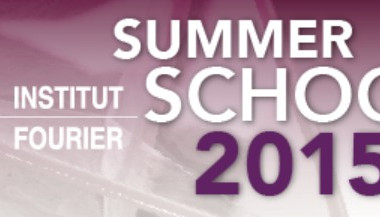 Summer School 2015 - Geometric measure theory and calculus of variations: theory and applications