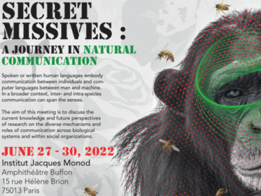 Secret missives: a journey in natural communication